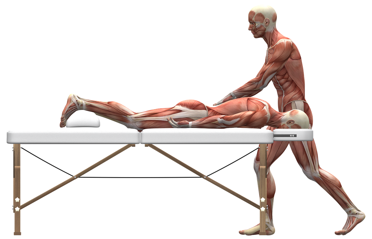 formation en massage : apprenez les techniques professionnelles pour devenir un masseur qualifié et offrir des soins relaxants et thérapeutiques.